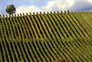 Kulinarischer Streifzug durch Bayern von Nord nach Süd Teil 1