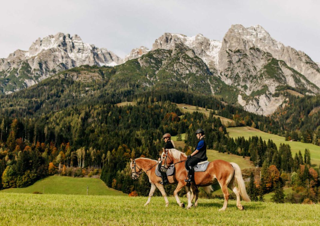 Familienreise zu Haflingern, Wellness und Haubenküche: Forsthofgut Leogang