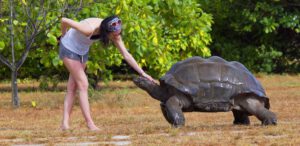 Esmeralda, älteste Riesenschildkröte der Welt: Was ermöglicht ein langes Leben und verändern sich die Seychelles