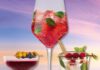 Myrtille et Miel, Campari Milano, Gize Raspberry-Ginseng Mojito