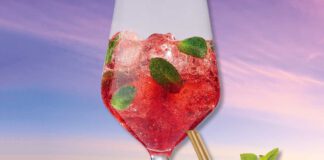 Myrtille et Miel, Campari Milano, Gize Raspberry-Ginseng Mojito