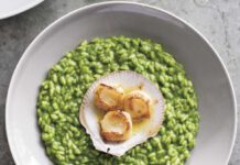 Spinat-und Brennessel-Rissoto mit Jakobsmuscheln