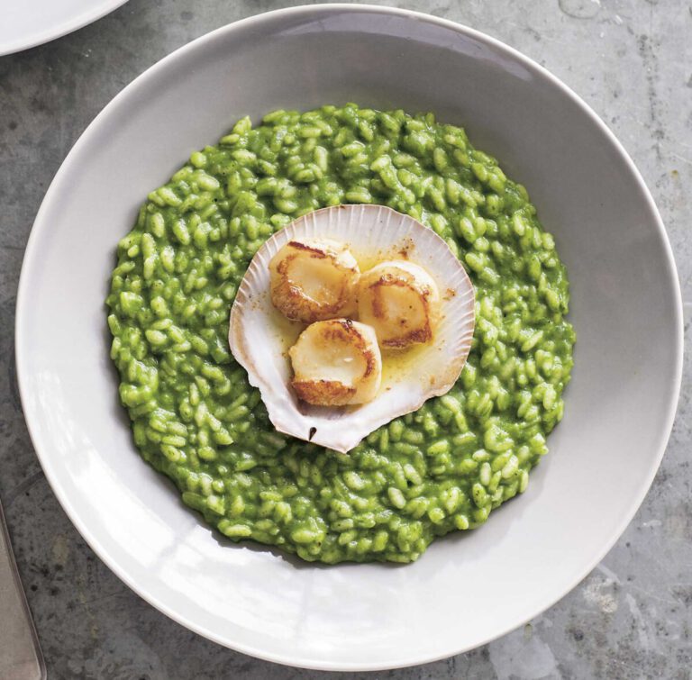 Spinatrisotto und Brennessel-Risotto mit Jakobsmuscheln - genießen und ...