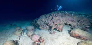 Malta: Eröffnung des 1. ärchologischen Tiefseeparks der Welt