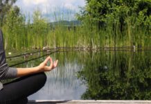 Meditation und Yoga: Pausentaste für das Gehirn