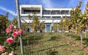 Golfen und genießen in den Weinbergen: Heitlinger Genusswelten