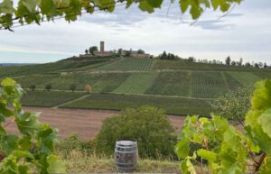 Golfen und genießen in den Weinbergen: Heitlinger Genusswelten