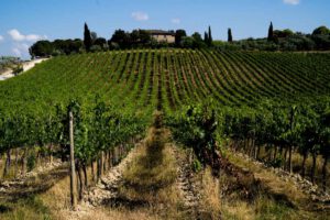 Ruffino Riserva Ducale Oro kommt vom Weingut Gretole