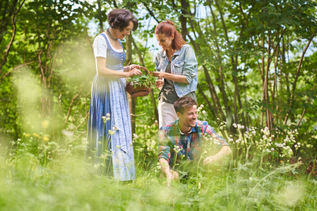 Kräuter-Erlebnis-Urlaub im Tölzer Land