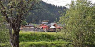 am Pillersee in Tirol: Restaurant Forellenranch