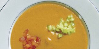 Gazpacho andalusische Art