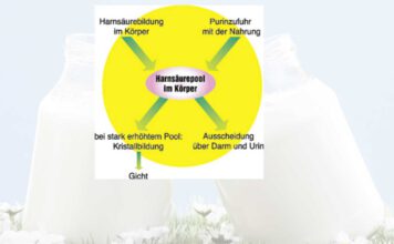 Was essen bei erhöhten Harnsäurewerten?