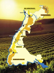 Baden: Winzerkunst und Weinkultur, Foto DWI