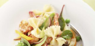 Farfalle Salat mit Sommergemüse und gebratenen Garnelen, foto Lafer