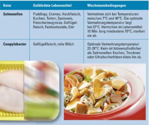 Keime: Die Gefahr aus der Küche