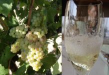 Cava: Meisterstück der Weinkultur