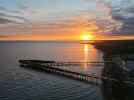 Center Parcs Nordborg Resort – ein außergewöhnliches Projekt auf neuem Terrain