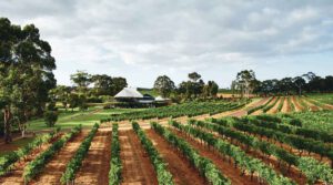 Unterwegs in Westaustralien am South West Wine & Nature Drive foto Tourism Western Australia