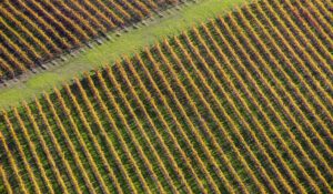 Unterwegs in Westaustralien am South West Wine & Nature Drive foto Tourism Western Australia