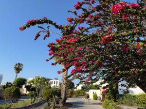 Ideale Auszeit auf Rhodos All-inclusive, Lindian Village, Foto A.Heinrichsdobler