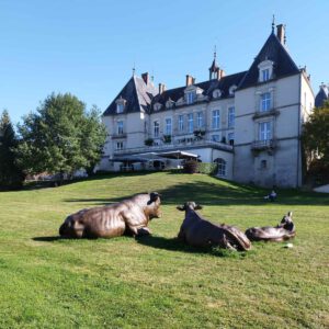 Einmalige Symbiose von Kultur und Kulinarik: das Burgund. Reisebericht, Foto BFC-Tourism